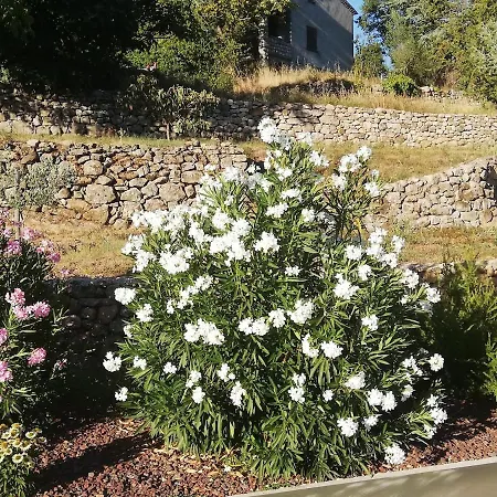 La Grangette Tatil Evi *