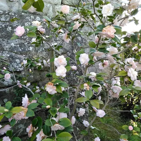 La Grangette